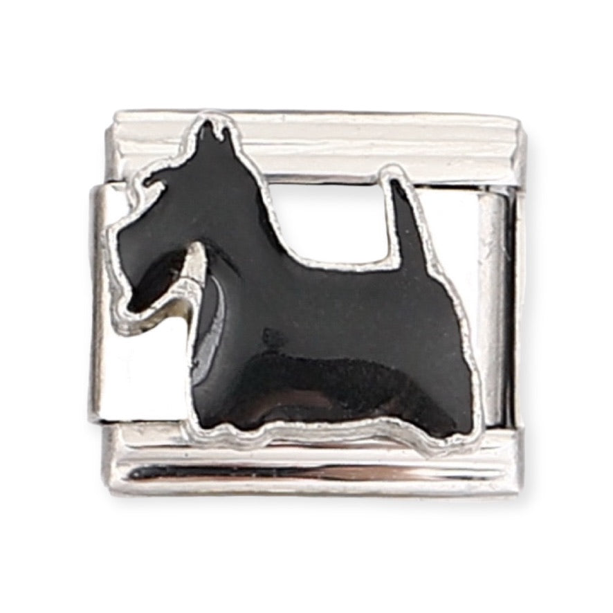 Charm Perro 3