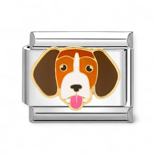 Charm Perro Beagle