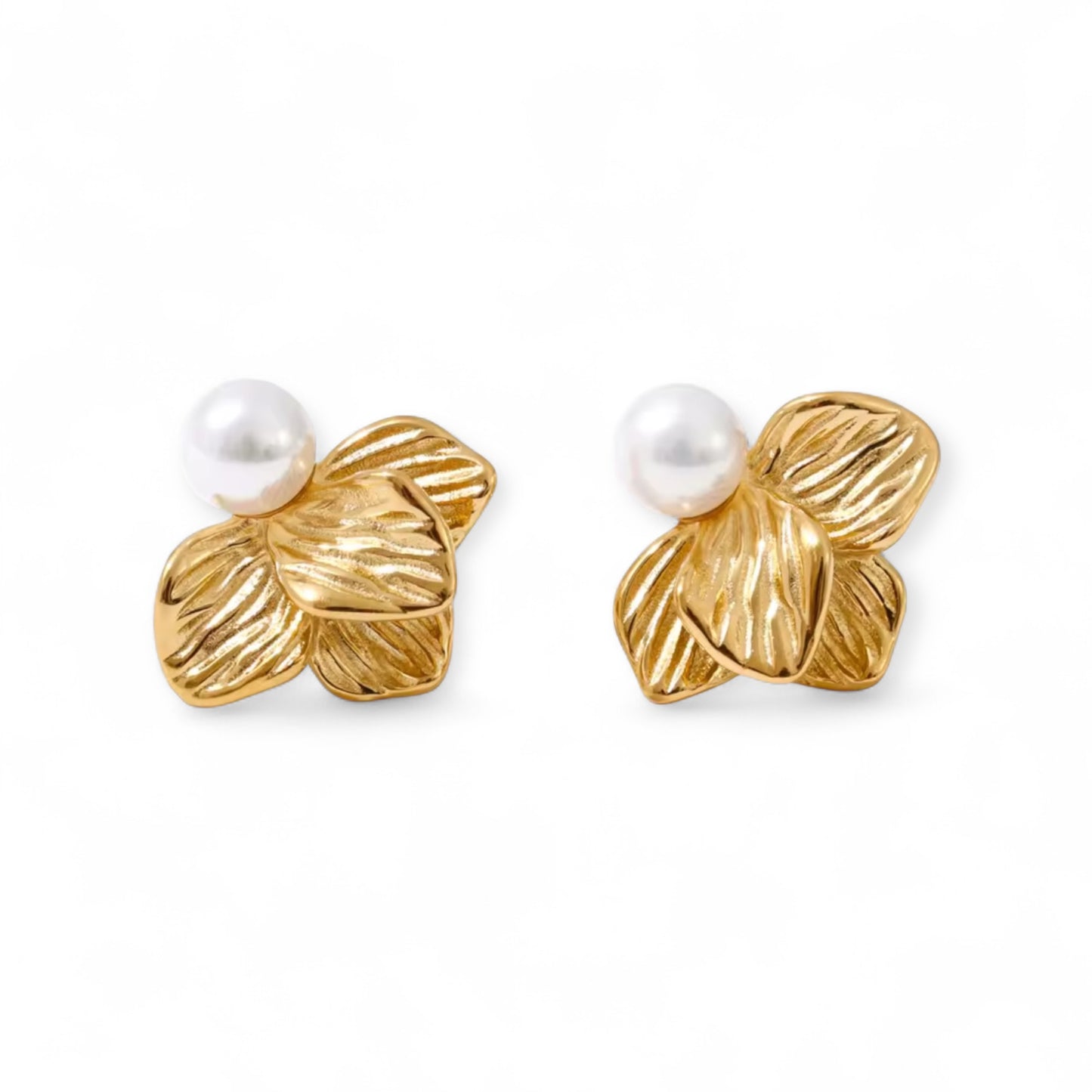 Aretes Nayra