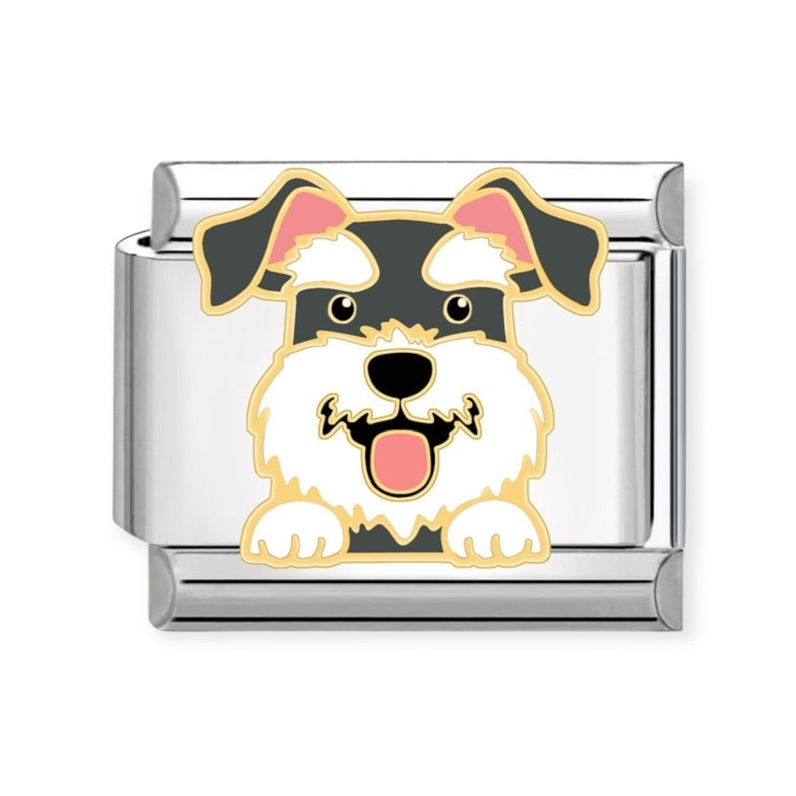 Charm Perro 8