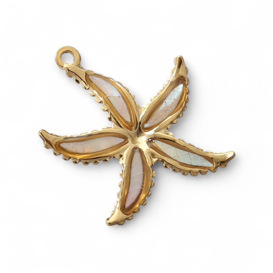Dije Estrella de Mar Solara