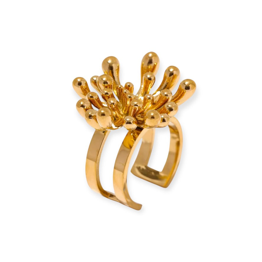 Morae Ring