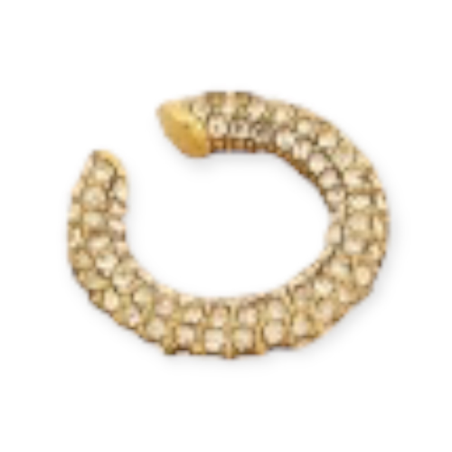 Lauren Earcuff