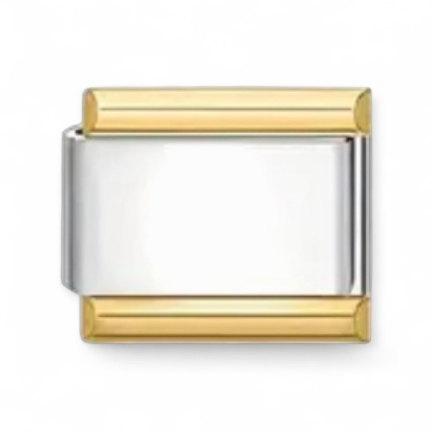 Silver & Gold Charm