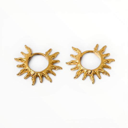 Aretes Zaria