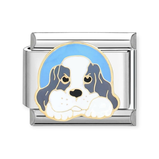 Charm Perro 4