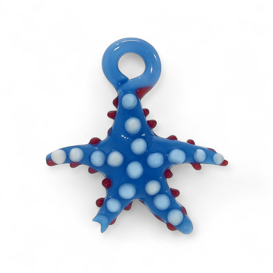 Dije Estrella de Mar Nocturna