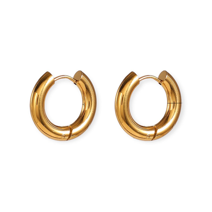 Tony earrings