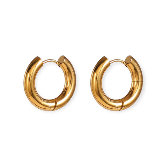 Tony earrings