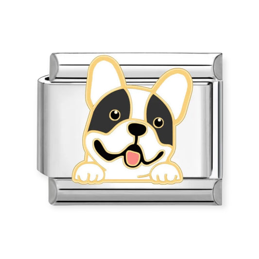 Charm Perro 5