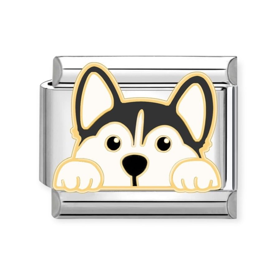 Charm Perro 7