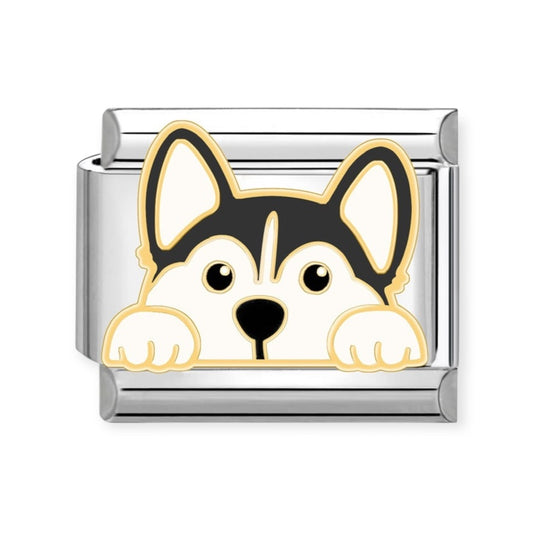 Charm Perro 7