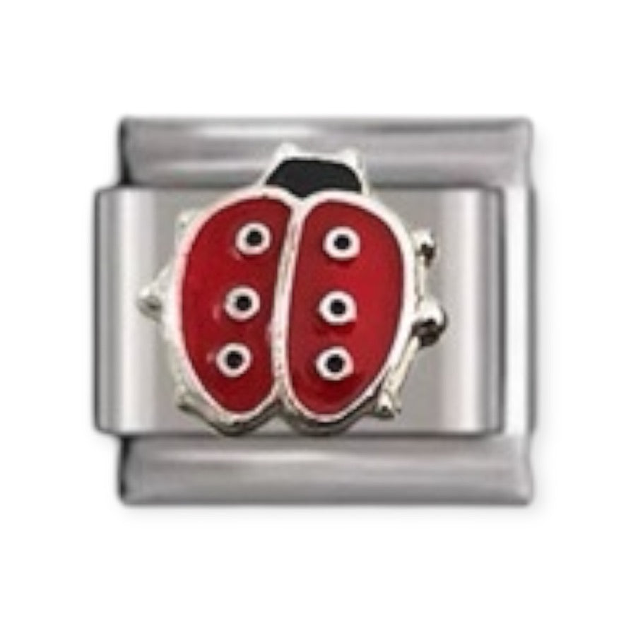 Charm Ladybug 2