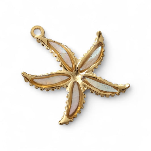 Dije Estrella de Mar Solara
