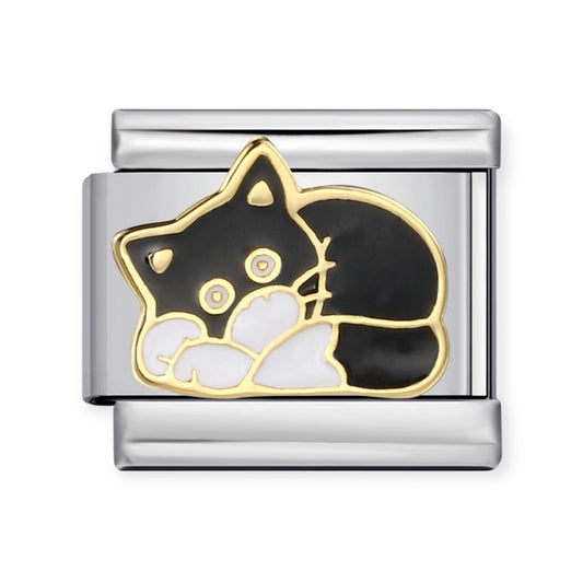 Charm Cat