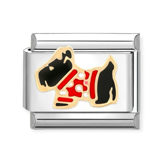 Charm Perro 1