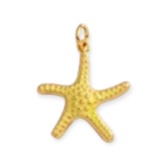 Dije Estrella de Mar Tesoro