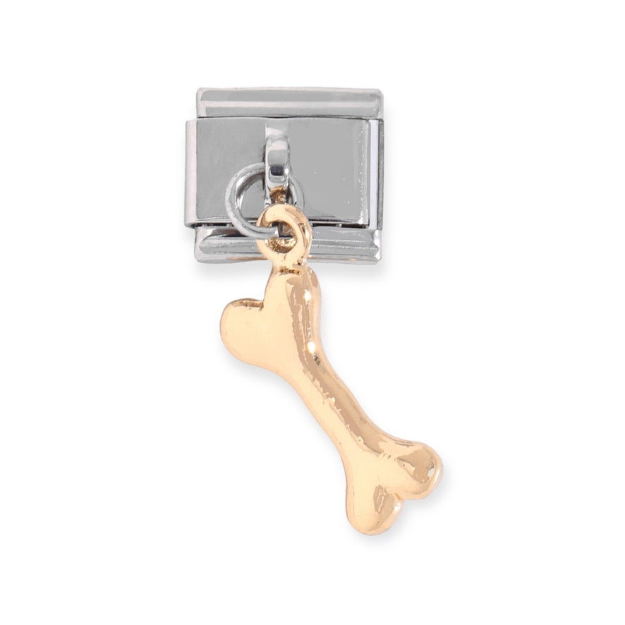 Charm Huesito