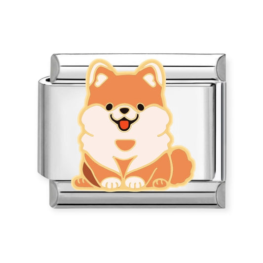 Charm Perro 6
