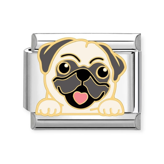 Charm Perro 9